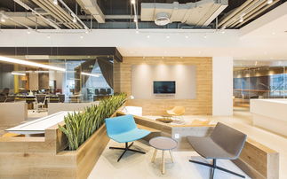 唐硕办公室设计 建筑专业的创新与实践